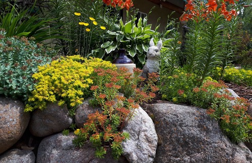 Division No. 10 Cottage | Stargaze in the forest. Enchanting Straw Bale Cottage nestled in nature.