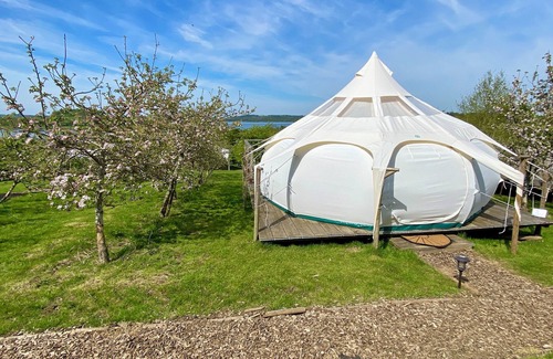 Longdon Other | Stargazer Tent 2