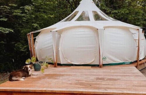Oregon City RV Rental | Stargazing Glamping Swim Oasis