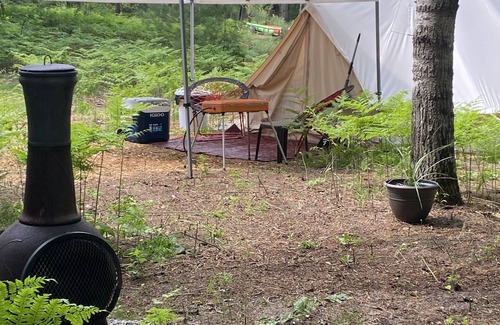 Kingsley RV Rental | Stargazing the MI Sky and Glamp camping!