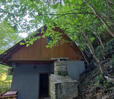 Sentrupert House | Stari mlin Franja/Old Mill Franja