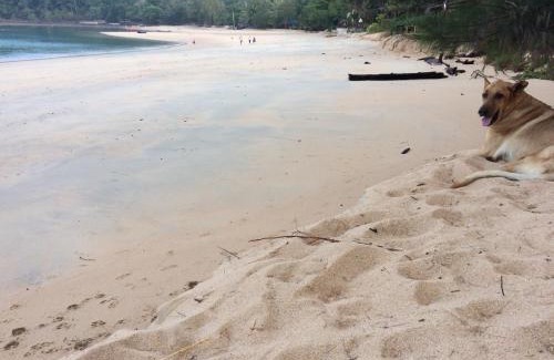 Ranong House | Starlight Beach Resort