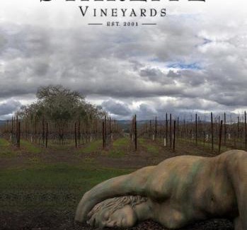 Geyserville House | Starlite Vineyard Escape
