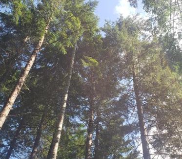 Douglas County Other | Starry Skies Campout