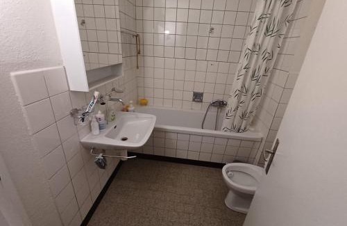 Winterthur House | Stars latina