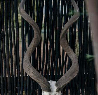Riebeeck West Apartment | StarsHollow Cottage