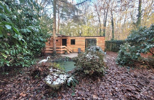 Hattemerbroek Cabin | Stay amidst nature in the Hunter's Cabin