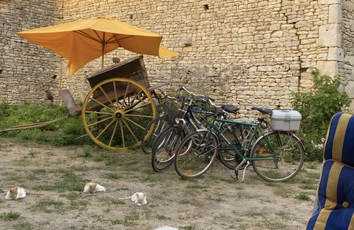 Blanzay House | Stay at La Grange des Z'Arts: Renovated house, Wi-Fi, parking, between nature and culture
