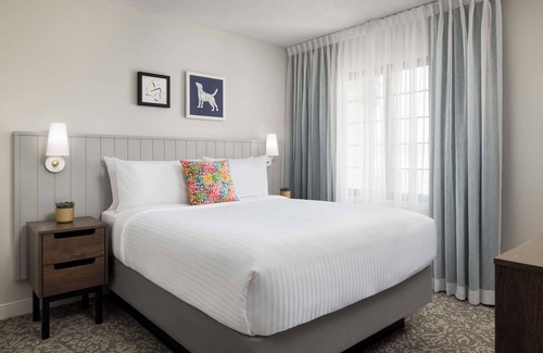Thornhill House | Stay Comfortably in a Pet-Friendly Suite with Swimming Pool Near Attractions