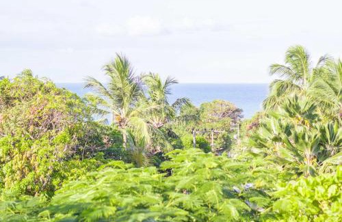 Pipa Cabin | Stay Cool Pipa