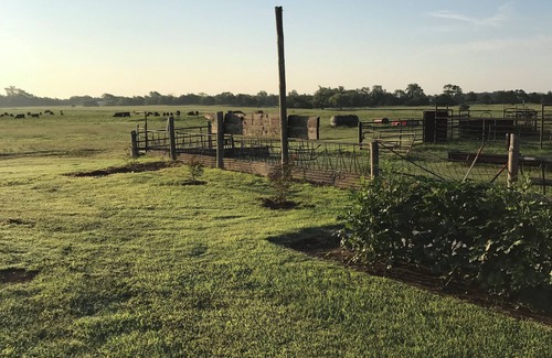 Woodward County House | Stay in our remodeled dairy barn on Shady Elm Farm near Sharon, OK. 1BR/1bath