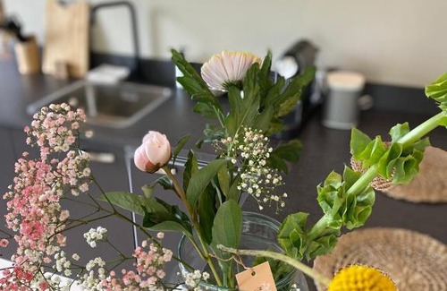 Harlingen Bed & Breakfast | Stay-Inn Harlingen