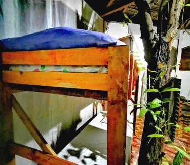 Tanawan Bed & Breakfast | Stay N Save B&B