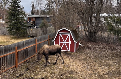 University Area House | Stay North–Rooted in Anchorage, Ready for Anything