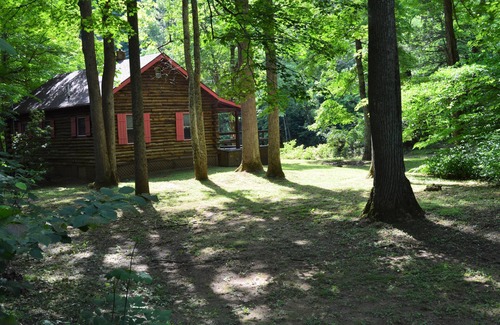 Elkins Cabin | Stay WATERFRONT. Stay CHEAT RIVER LODGE