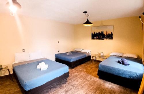 Durango House | Stay6 Confort en Grupo Durango