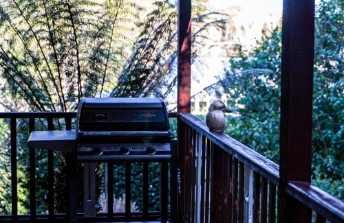 Mount Dandenong Cabin | StayAU Windsong Cottage Idyllic Getaway Dandenong