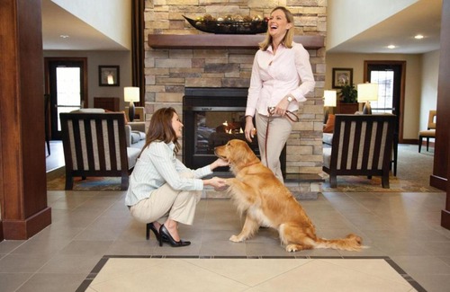 Cedar Park Hotel | Staybridge Suites - Cedar Park - Austin N by IHG