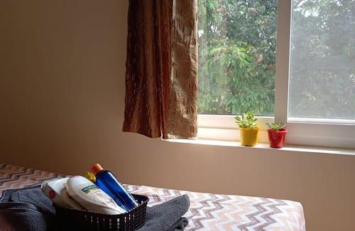 Sathya Sai Layout House | STAYCATION: A cozy room in a Bnb surrounded by lush greenery