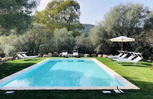 Buddittogliu Straulas Apartment | STAZZO SAN TEODORO IL GINEPRO Piscina Condivisa