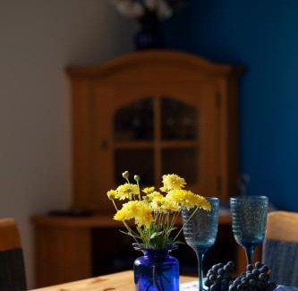 Roja House | STEAMER-2a