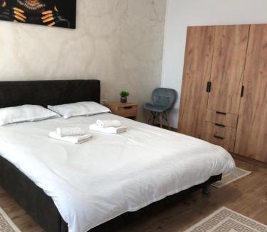 Piatra Neamt Apartment | STEFANIA