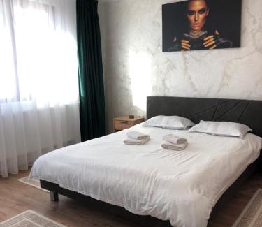 Piatra Neamt Apartment | STEFANIA