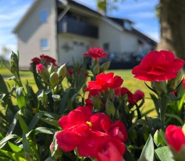 Ljungby Cabin | Stegemans Horse hotel and Country Lodge