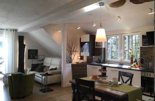 Andreasberg Apartment | Steigerhaus Sauerland - DG Süd
