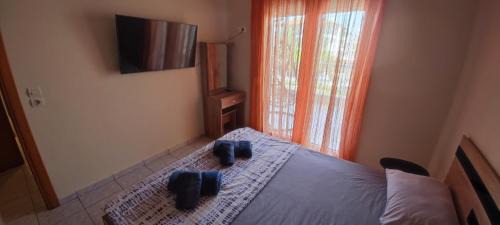 Olymbiaki Akti Apartment | Stella apartments