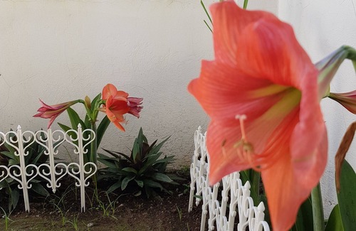 Lian House | Stellka River Side 5min to the sea, super close to hiking trails, Pet Friendly!