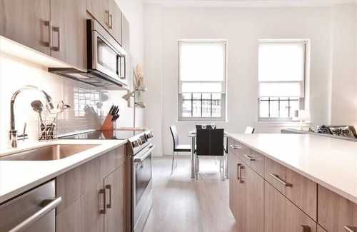 Chinatown Apartment | Steps to the Freedom trail | Fully Furnished Boston 1BR | Downtown