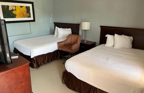 Ocala Hotel | Steven Motel