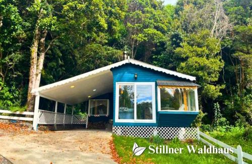 Puerto Varas Ski Chalet | Stillner Waldhaus