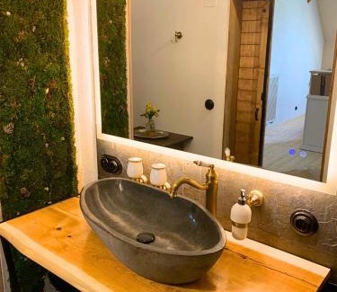 Waldshut-Tiengen Apartment | Stilvoll eingerichtetes Studio in historischem Bauernhaus, voll ausgestattet inmitten der Natur auf 75 qm