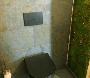 Waldshut-Tiengen Apartment | Stilvoll eingerichtetes Studio in historischem Bauernhaus, voll ausgestattet inmitten der Natur auf 75 qm