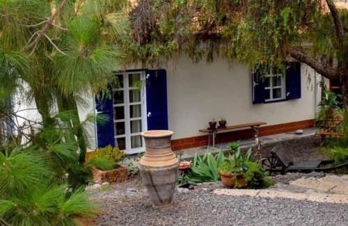 Arona Apartment | Stilvolle Villa in Teneriffa Süd