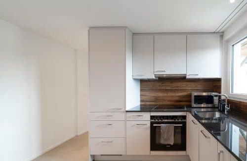 Winterthur Apartment | Stilvolle Wohnung im Kanton Zürich!