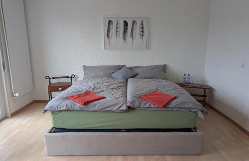 Oberwil House | Stilvolles Privatzimmer im Einfamilienhaus nahe Basel