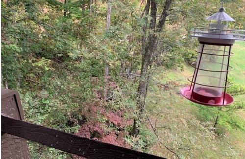 Sevierville Condo | Stimpy's Mountain Lodge