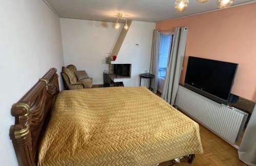 Ella park House | Stockholm City Room for digital Nomads Elegance & Comfort - Tryggt & Privat - Room3
