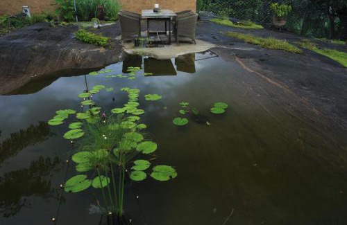 Pallekele Cabin | Stone Cottage