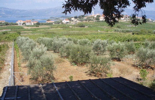 Lumbarda House | Stone house GREGOV - family groups ,eco Tourism,direct access on private beach