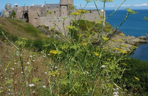 Pleven House | Stone house in a protected natural site, totally renovated in 2019