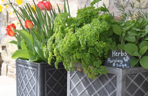 Harrop Fold Cottage | Stone Mouse Cottage