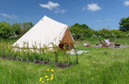 Ewhurst Green Other | Stone Pit Meadows