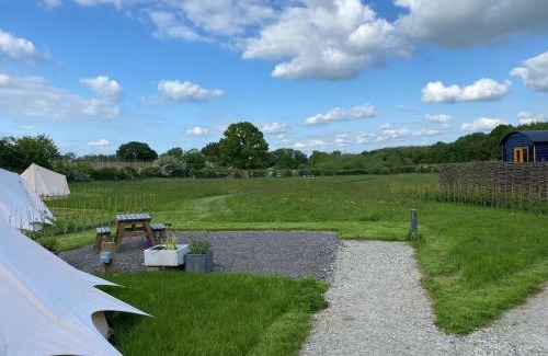 Ewhurst Green Other | Stone Pit Meadows