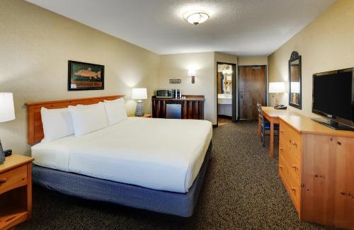 Moline Hotel | Stoney Creek Hotel Quad Cities - Moline