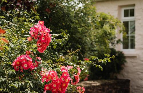Stoodleigh Bed & Breakfast | Stoodleigh Court Coach House