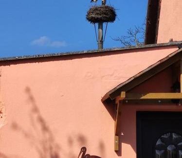 Wachow Apartment | Storchennest mit eigenem Hof, Spielwiese und Terrasse